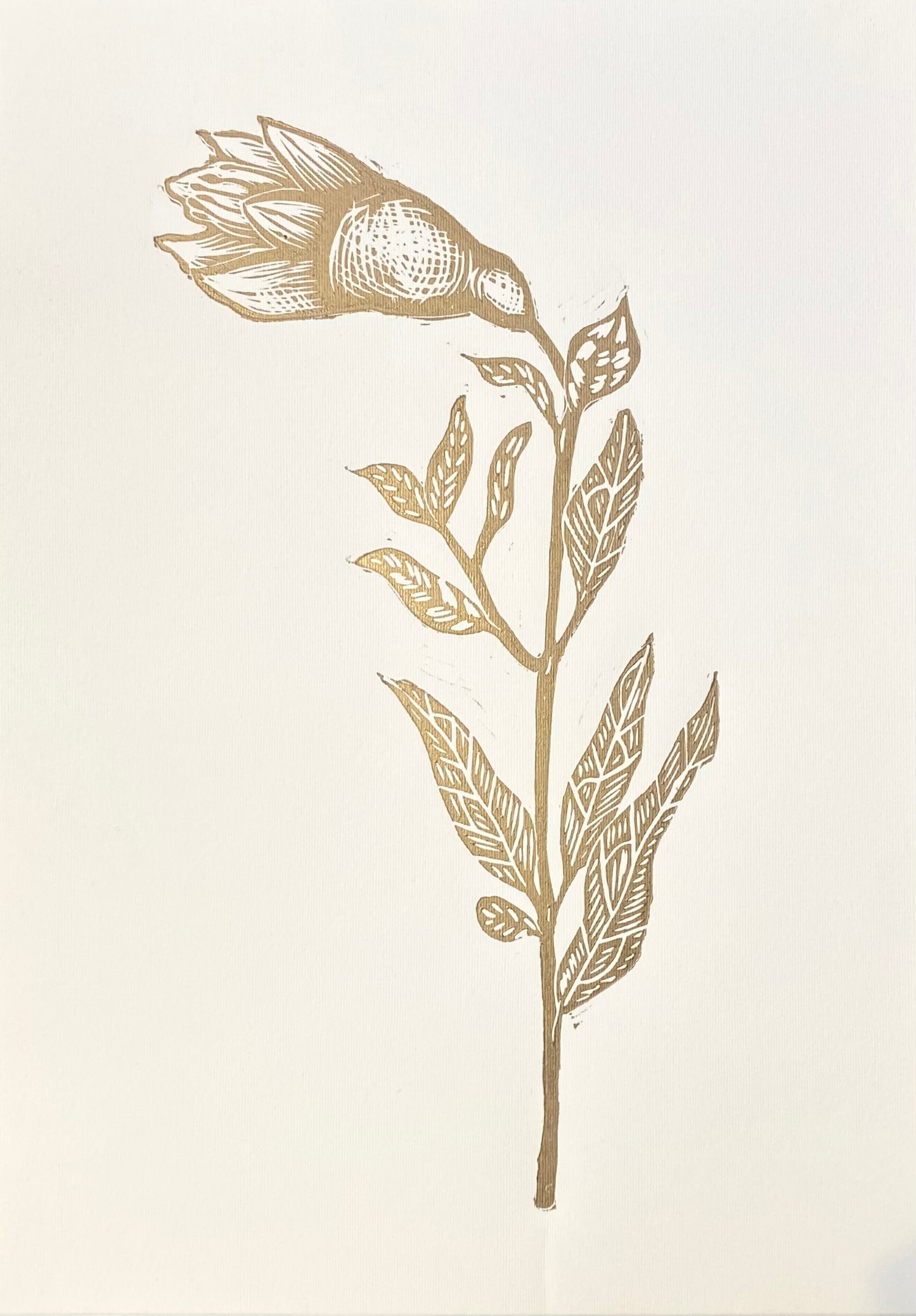 Flor de Granada M