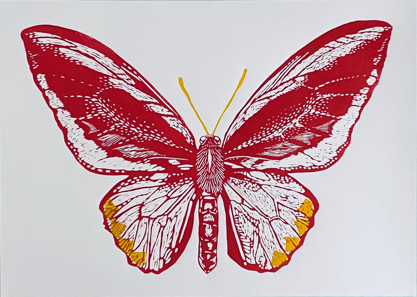 Mariposa L (Blanco/rojo)
