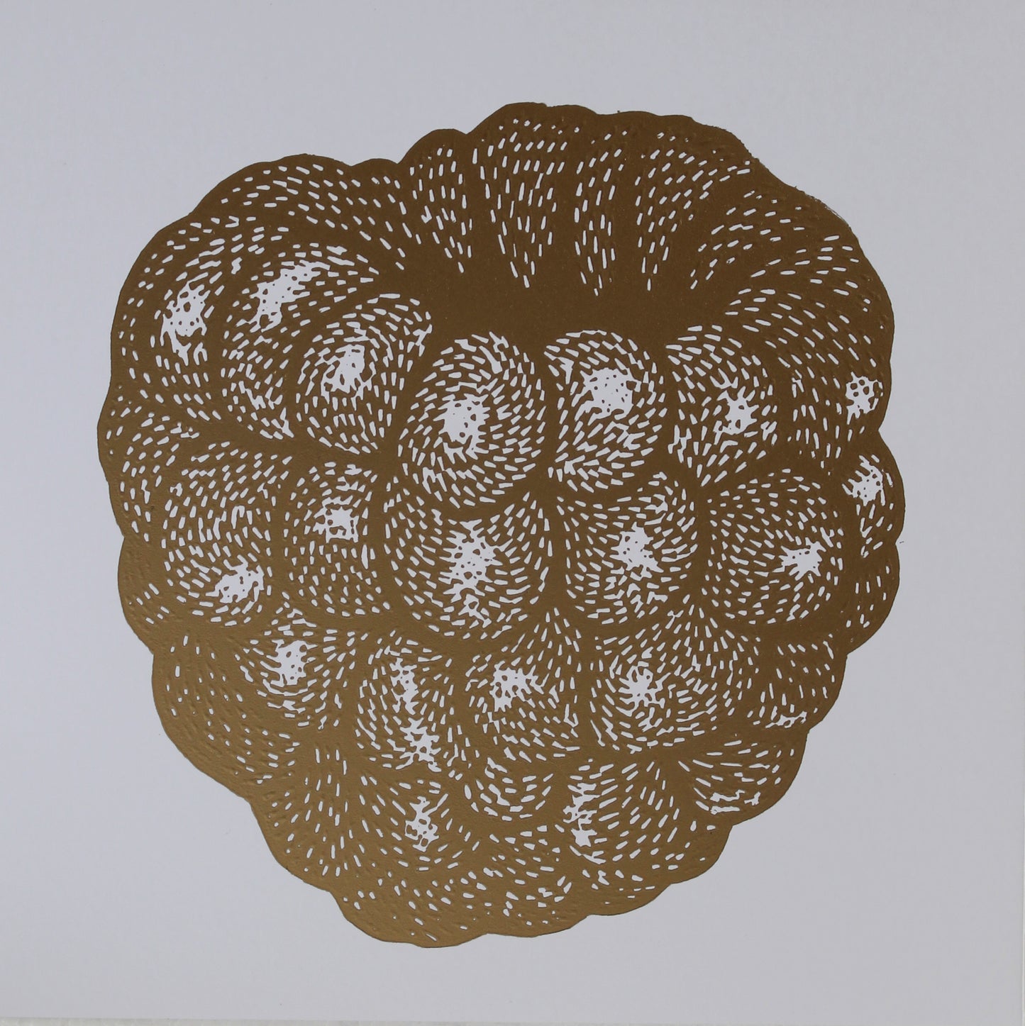 Frambuesa S