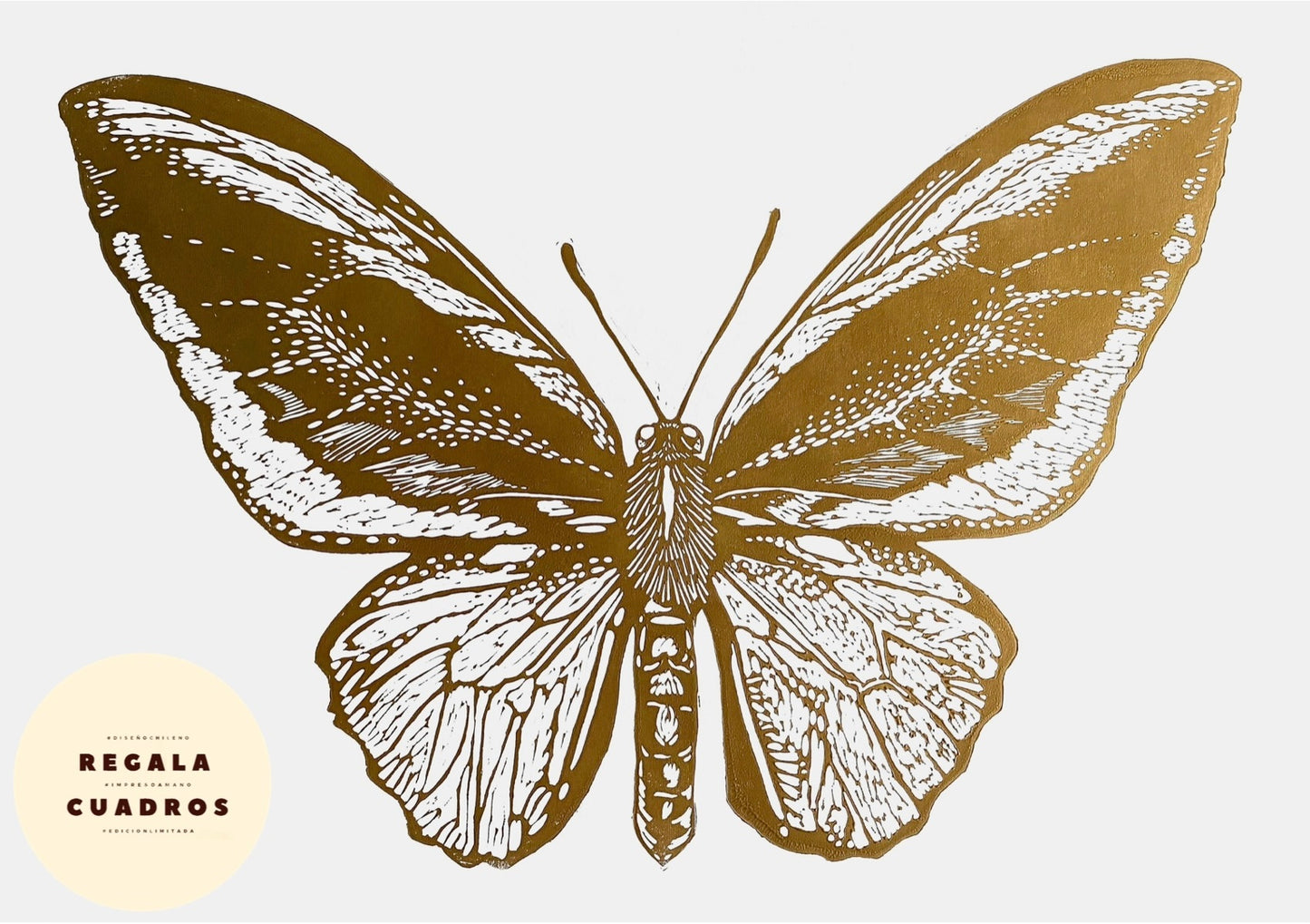 Mariposa Pájaro L