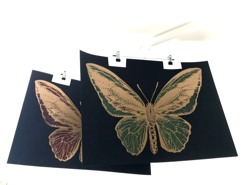 Mariposa Pájaro L