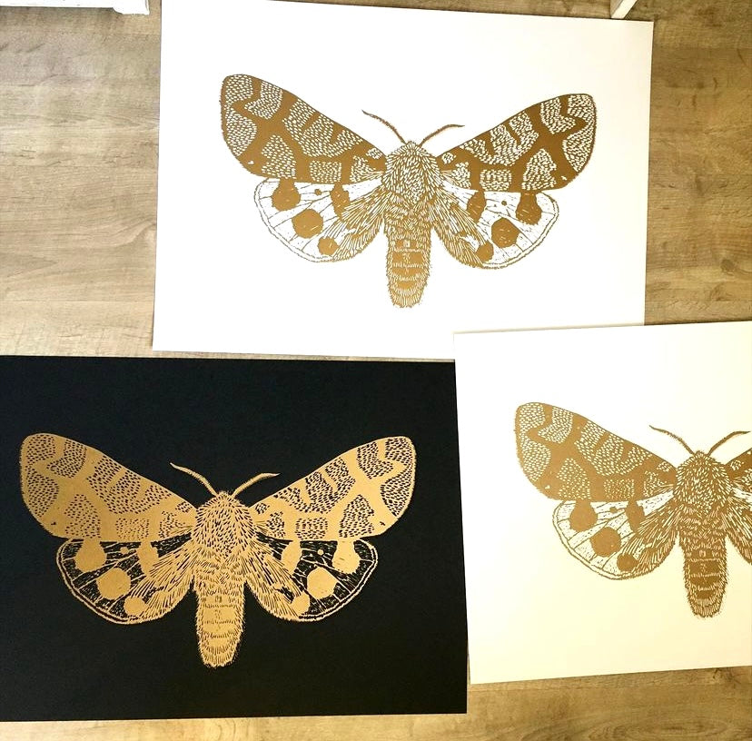 Mariposa Nocturna L