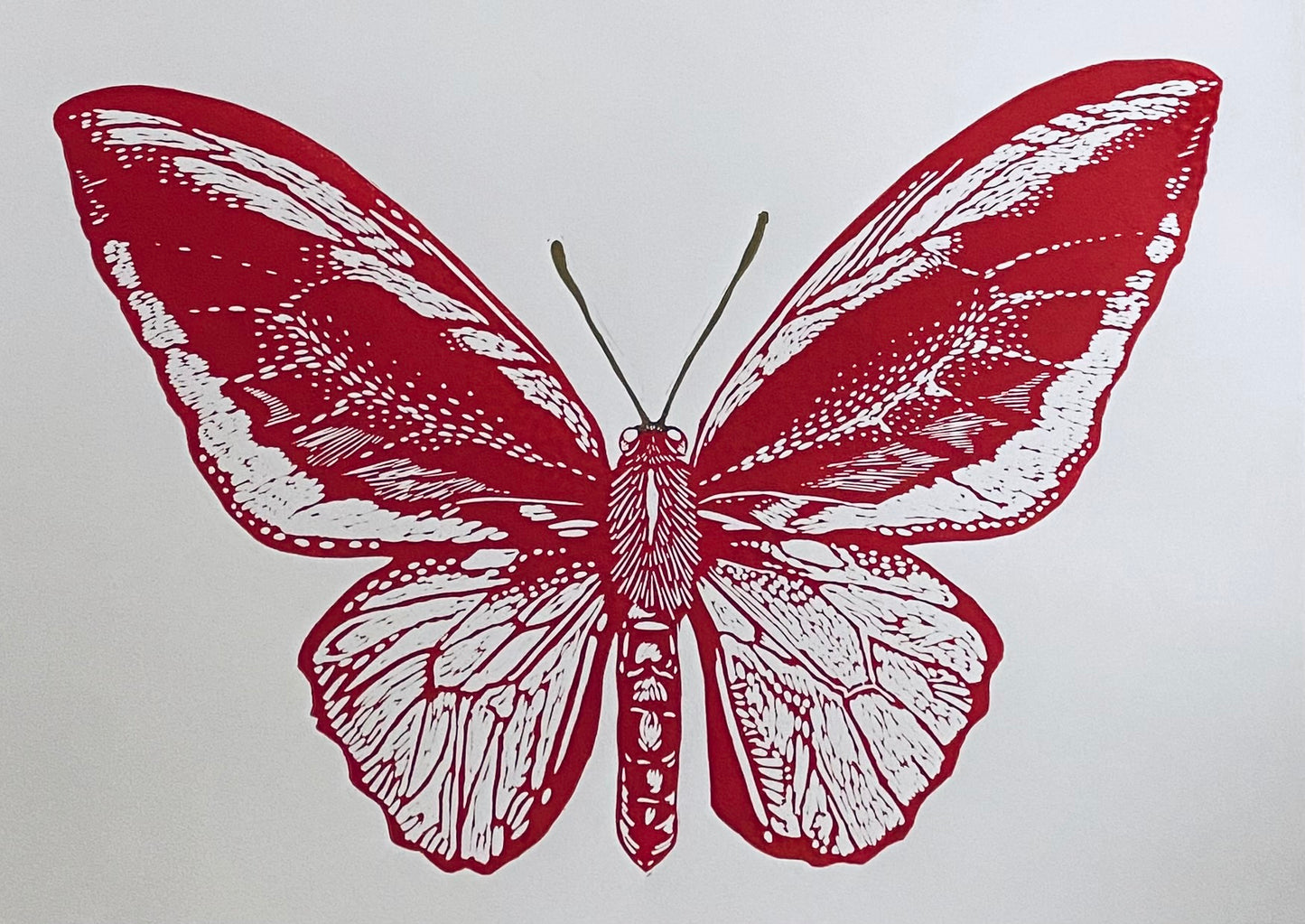Mariposa L (Blanco/rojo)