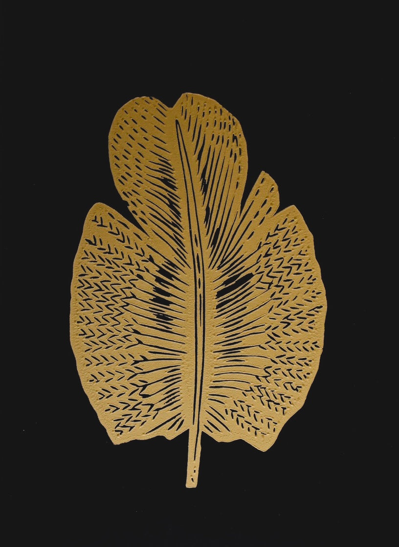 Pluma S
