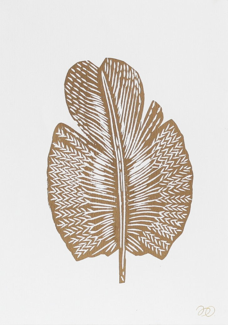 Pluma S