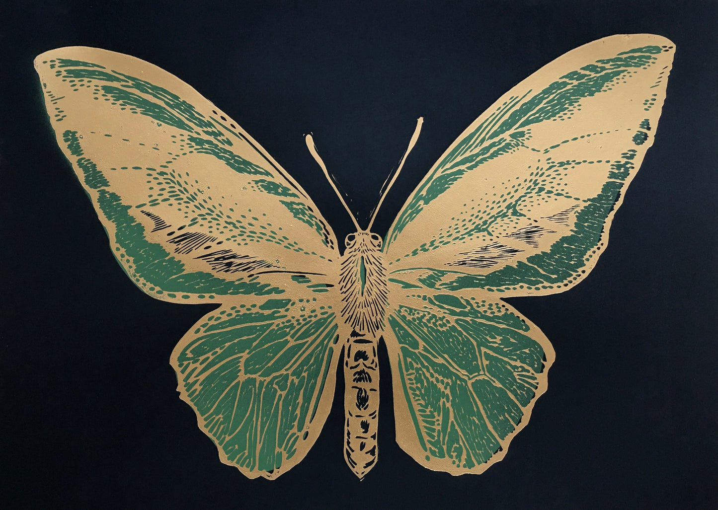 Mariposa Pájaro L