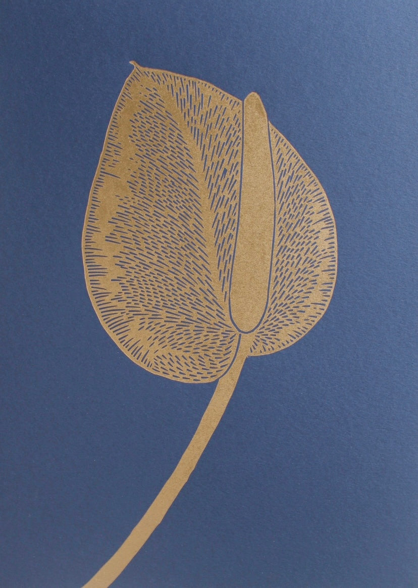 Anthurium M