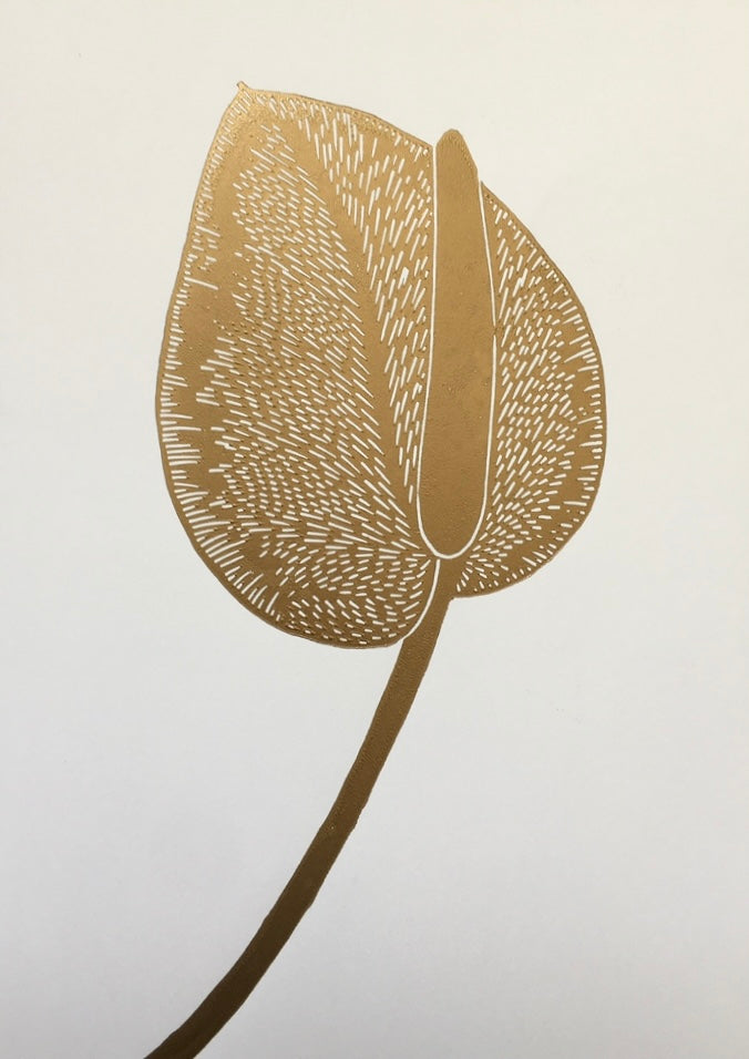 Anthurium M