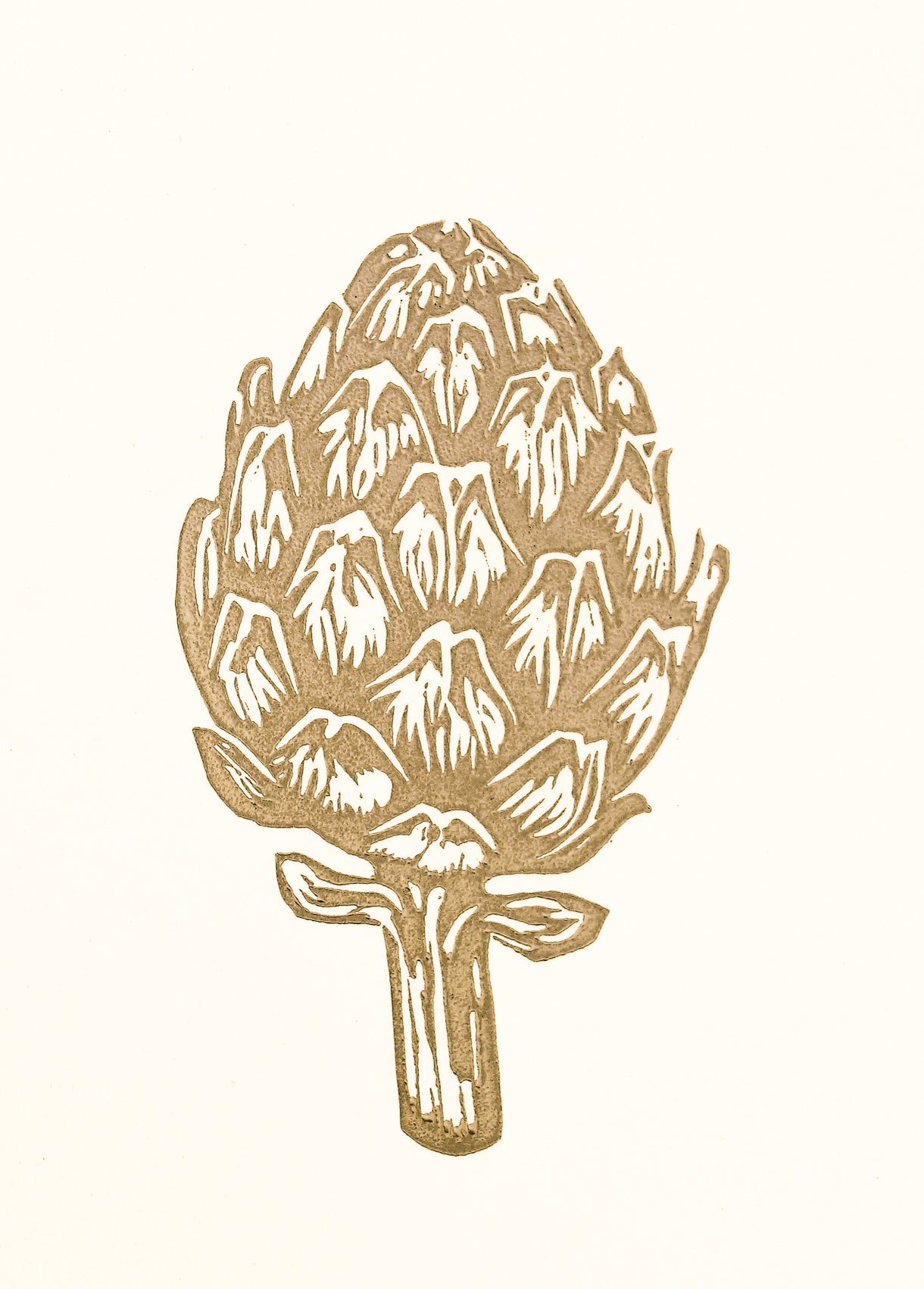 Alcachofa XS