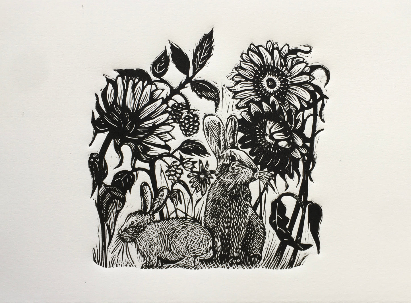 Conejos entre Girasoles