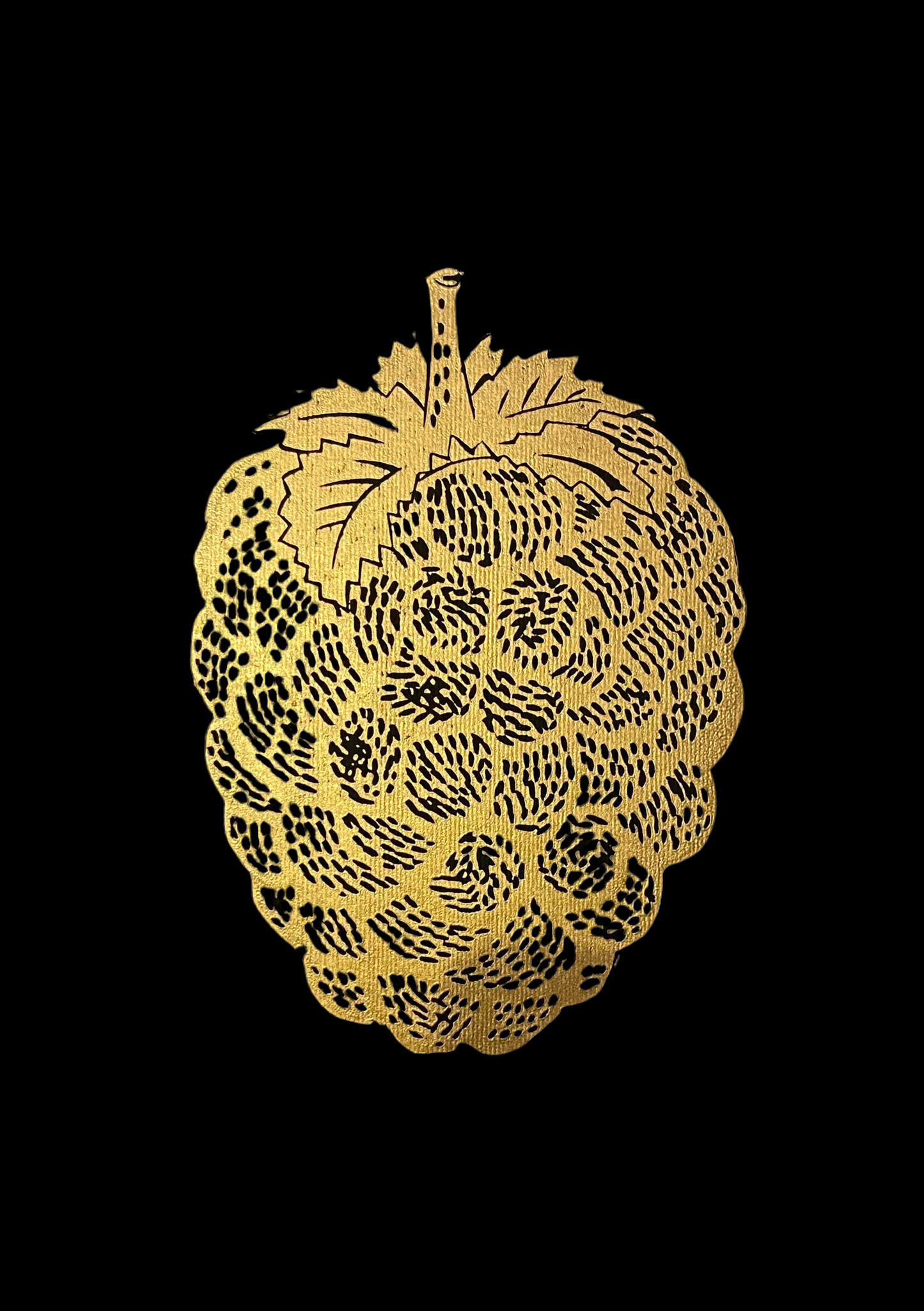 Frambuesa Alargada S