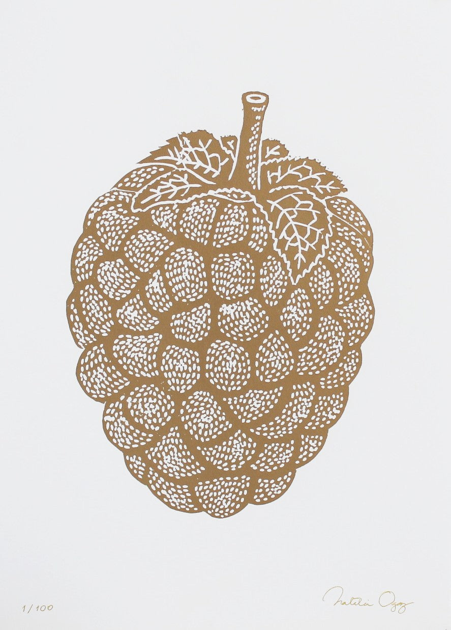 Frambuesa M