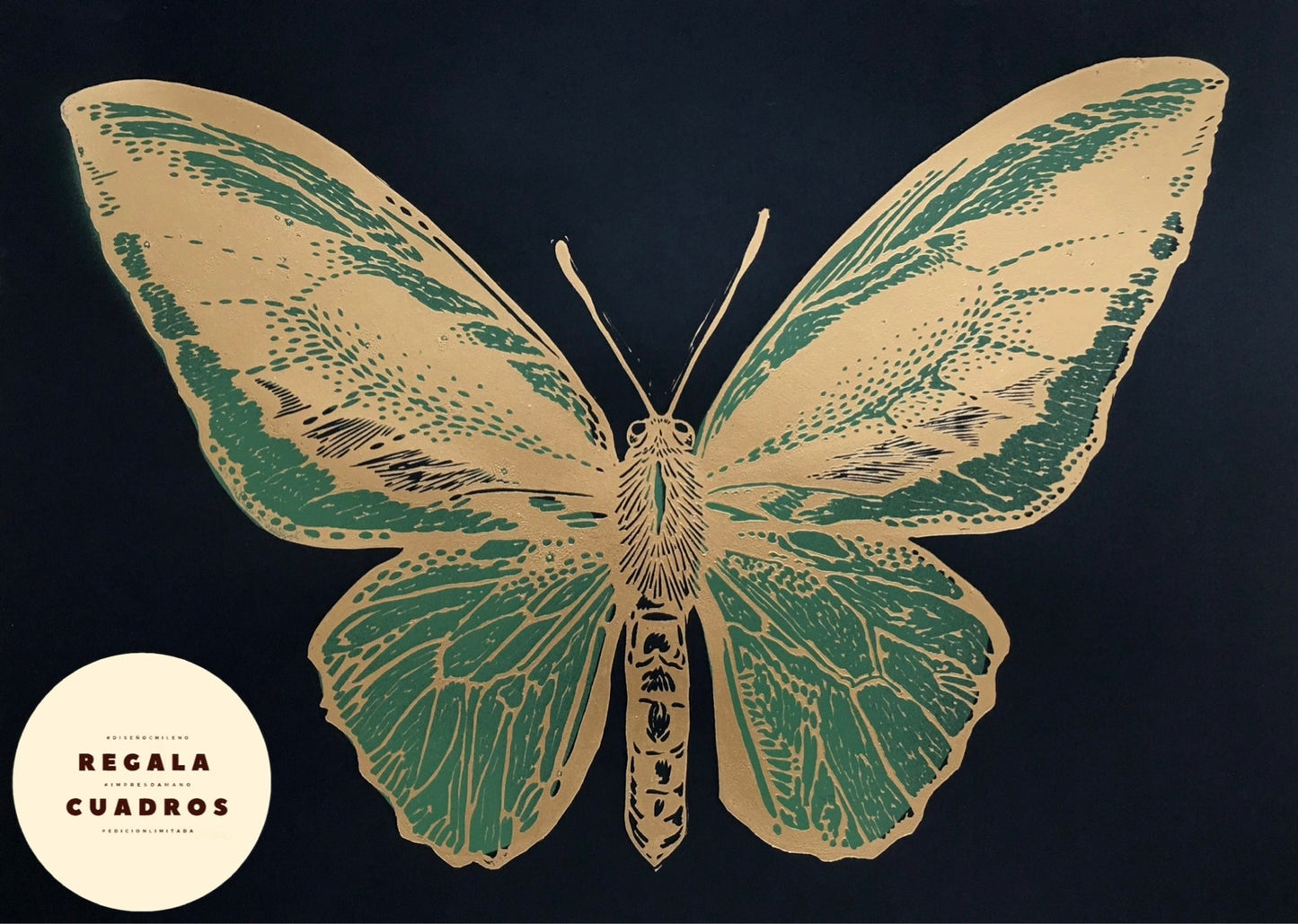 Mariposa Pájaro L