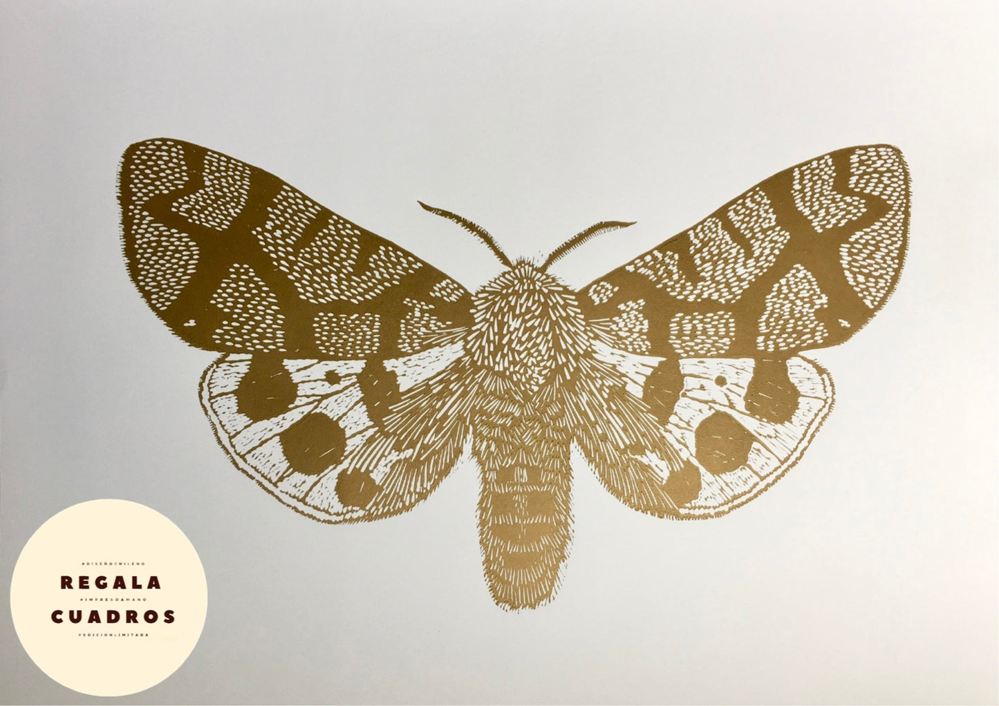 Mariposa Nocturna L
