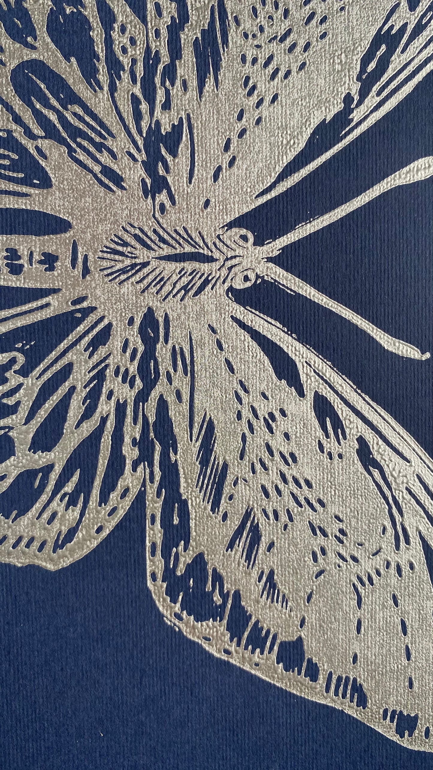 Mariposa alas de Pájaro S