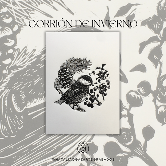 Gorrión de Invierno