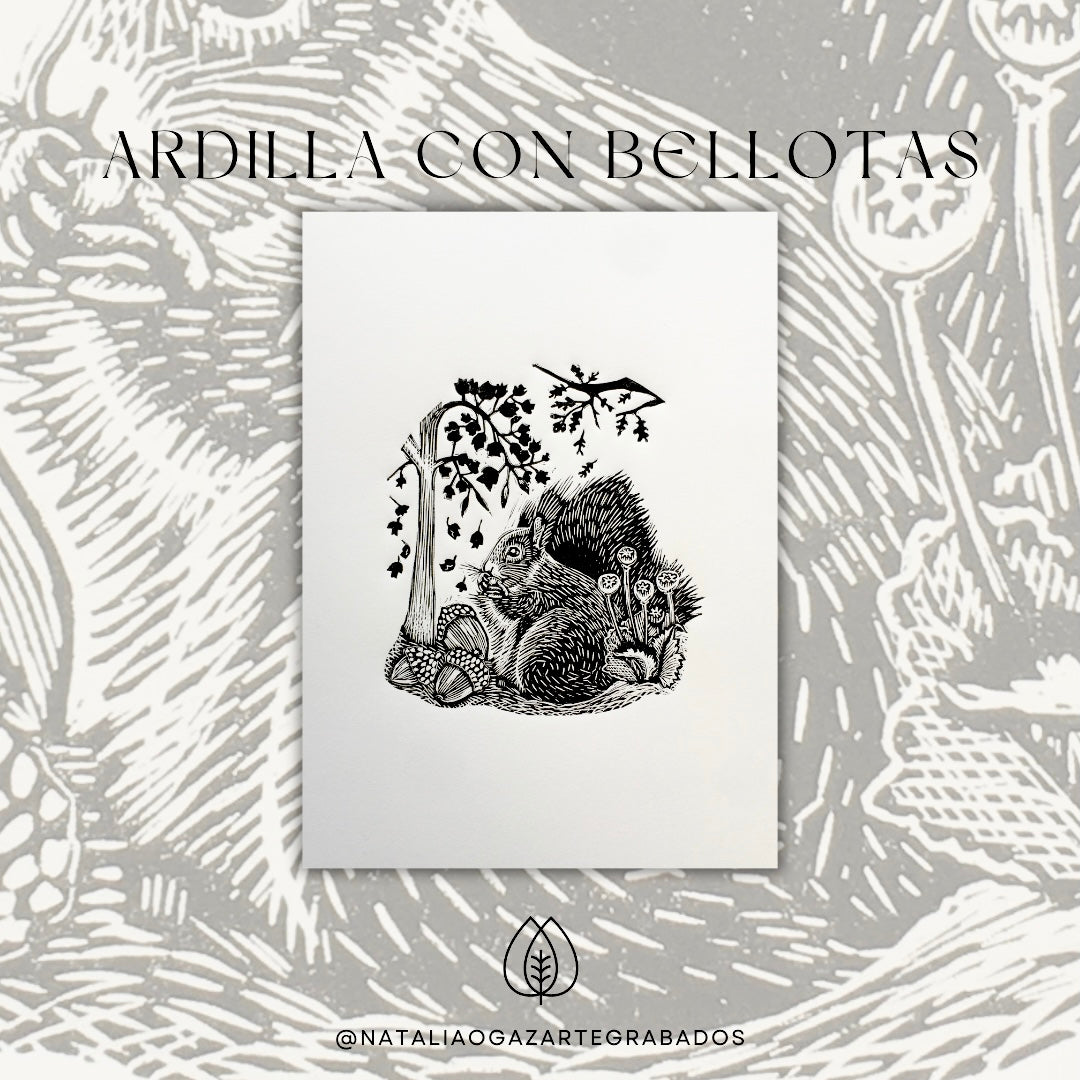 Ardilla entre Bellotas