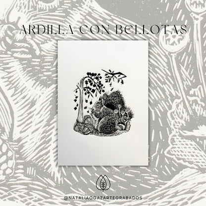 Ardilla entre Bellotas